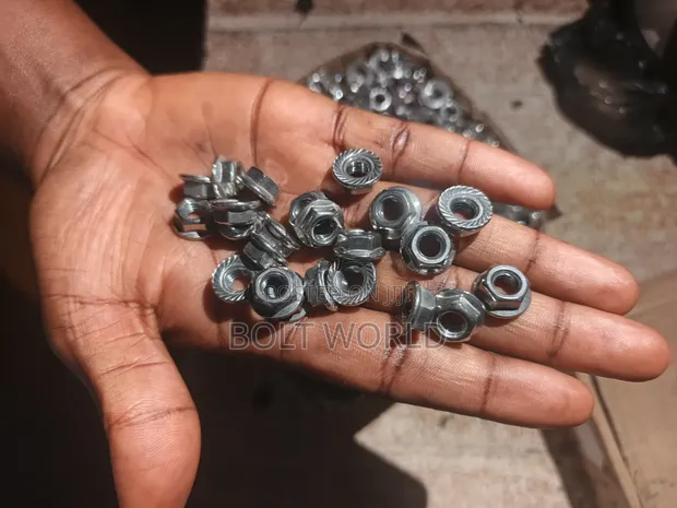 6mm Stainless Steel Flange Nut - 1