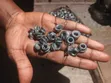 6mm Stainless Steel Flange Nut - 1