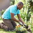Gardener Service - JB Ventures - 1