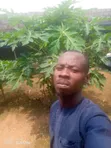 Gardener Service - JB Ventures - 3