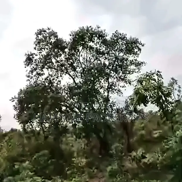 121 Hectares Mixed-Use Land for Sale | Ketti Pyakasa, Abuja - 1