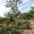 121 Hectares Mixed-Use Land for Sale | Ketti Pyakasa, Abuja - 2