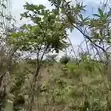 121 Hectares Mixed-Use Land for Sale | Ketti Pyakasa, Abuja - 3