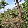 121 Hectares Mixed-Use Land for Sale | Ketti Pyakasa, Abuja - 4