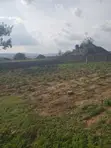 Filin Zama don Siyarwa a Karu - 1