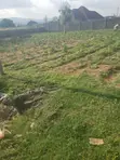 Filin Zama don Siyarwa a Karu - 3