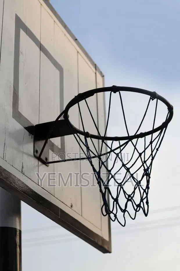 Black Basketball Hoop - Home & Commercial - 1