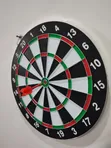 Brand New 66Fit Dart Board with Tip Pins - 2