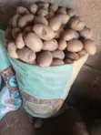 King Cyrus Irish Potatoes - 1