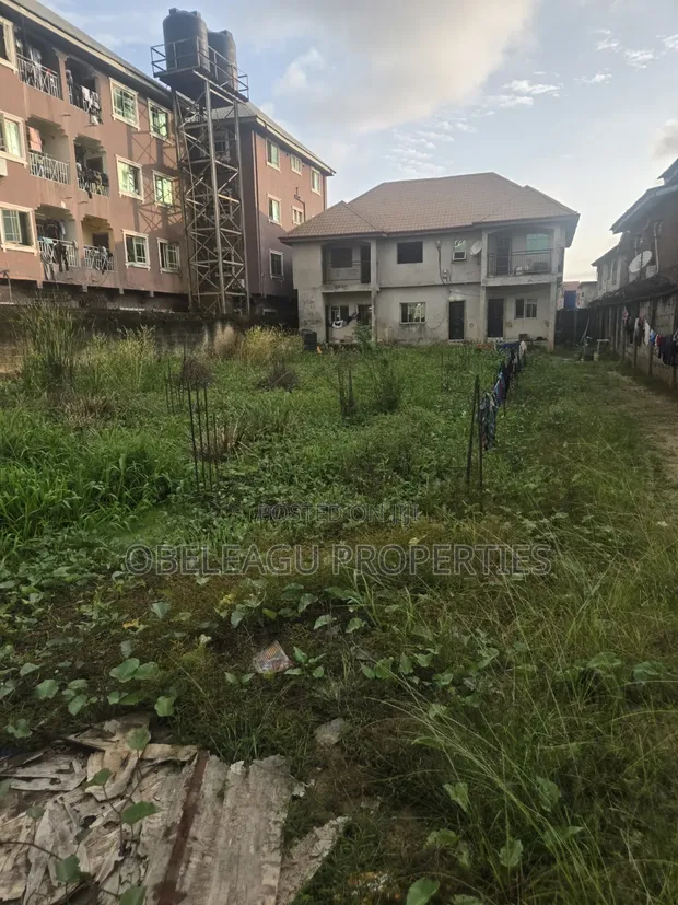 870 sqm Land with Mini Flats & 2-Bedroom House in Ago, Okota - 1