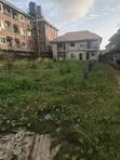 870 sqm Land with Mini Flats & 2-Bedroom House in Ago, Okota - 1