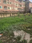 870 sqm Land with Mini Flats & 2-Bedroom House in Ago, Okota - 2
