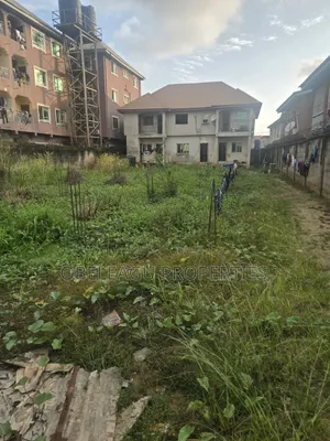 870 sqm Land with Mini Flats & 2-Bedroom House in Ago, Okota