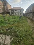 870 sqm Land with Mini Flats & 2-Bedroom House in Ago, Okota - 4