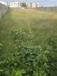 855 sqm Land for Sale in Ago, C of O - 2