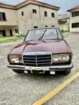 Vintage Mercedes-Benz W123 for Hire - 2