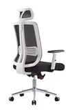 Imported Ergonomic Office Chair with Mech Back & Headrest - 2