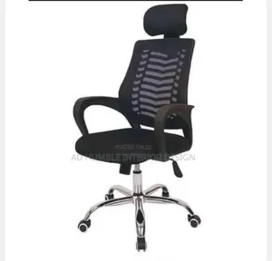 Imported Ergonomic Office Chair with Mech Back & Headrest