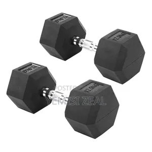 Bodyfit 12.5kg Hex Dumbbell Pair Set (25kg Gaba Daya)