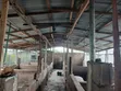 Live Pigs and Fresh Pork Meat for Sale - 3