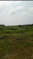 200 Acres of Land for Sale in Ibeju-Lekki, Lagos - 2