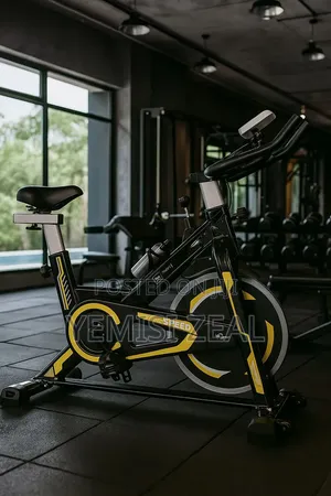 American Fitness Exercise Workout Spinning Bike (120KG Max User Weight)