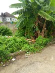 914.432 sqm Filin Kasuwanci don Haɗin Gwiwa a Lekki Scheme 2 - 5
