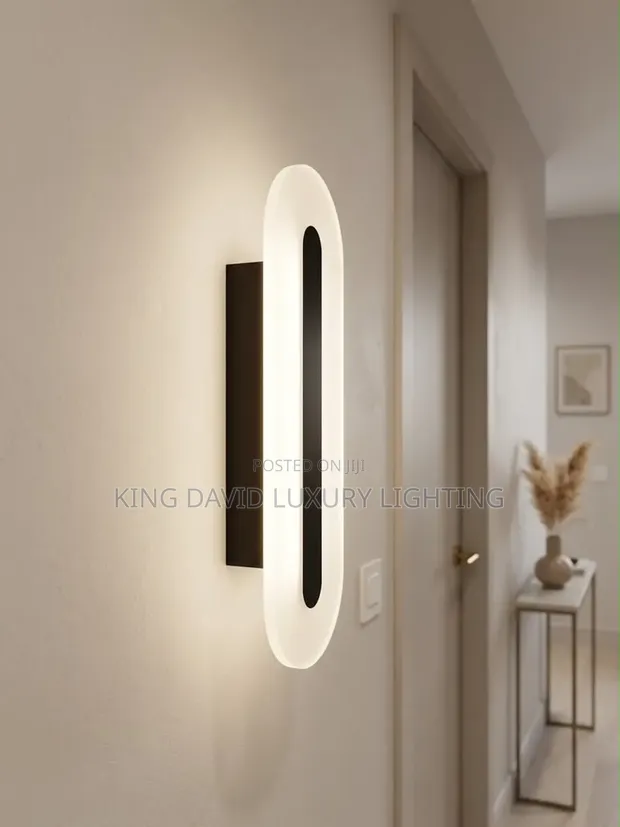 Modern Minimalist Linear CCT LED Oval Wall Light - 1
