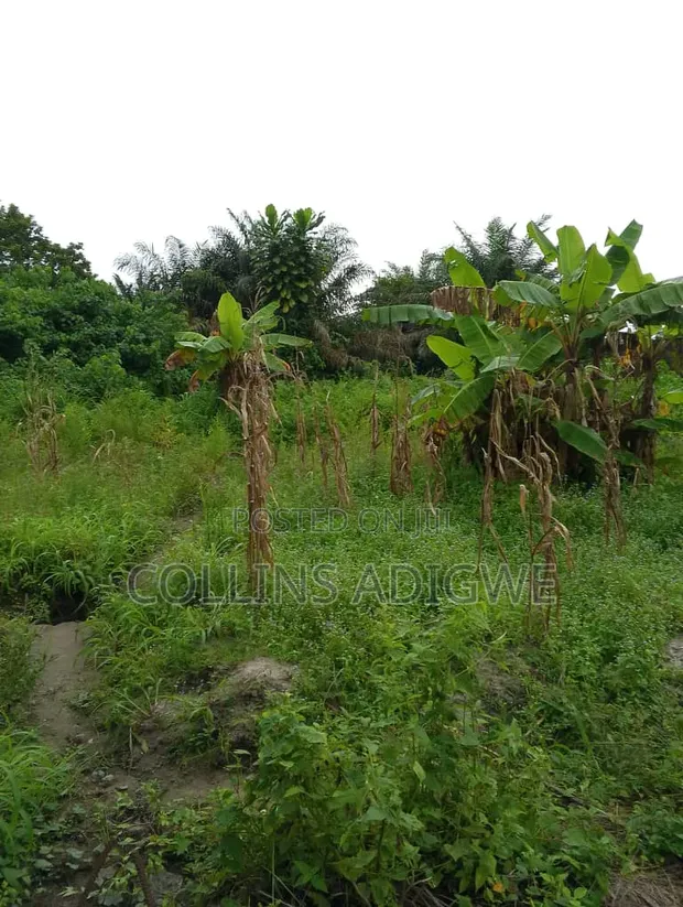 3 Plots Fenced Together for Sale in Awoyaya - 1