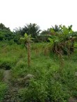 3 Plots Fenced Together for Sale in Awoyaya - 1