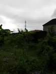 3 Plots Fenced Together for Sale in Awoyaya - 3