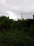 3 Plots Fenced Together for Sale in Awoyaya - 4