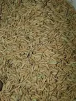 Quality Corn, Beans & Rice for Sale - 3