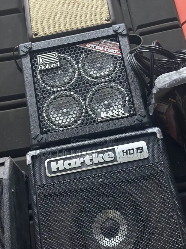 Roland Micro Cube Bass RX Portable Amplifier - 1