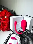 App Controlled Lush Couples Vibrator - 3