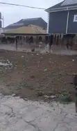 400sqm Cut Out Land with Fence, Zionist Estate, Akala Express - 1