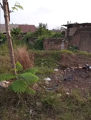 Commercial Land for Sale, Ido