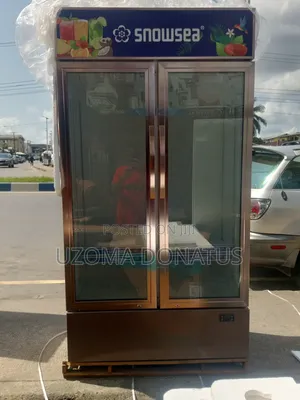 Snowsea Double Door Refrigerator