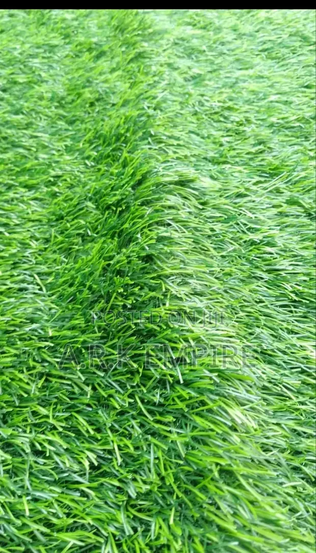 Artificial Grass/Turf na Cikin Gida da Waje - 1