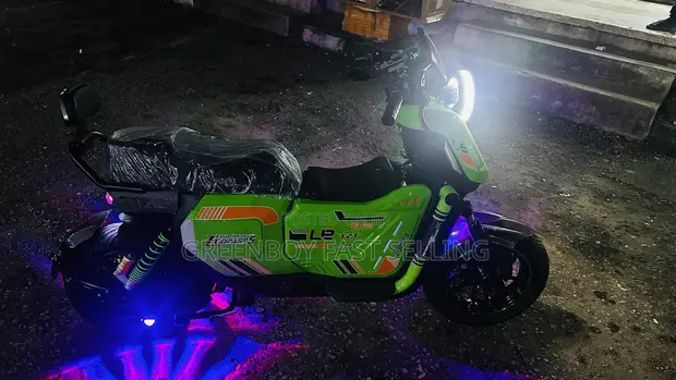 Brand New Leopards Electric Bike - 1