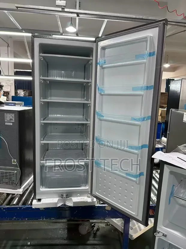 Zen LTD Inverter Tsaye Ice Block Freezer - 1