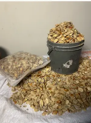 Premium Ogbono Seeds