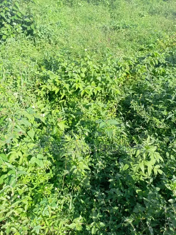 2,632sqm Residential Land for Sale in Guzape Main, Abuja - 1