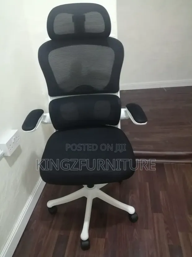 Modern Ergonomic Mesh Office Chair - Black & White - 1