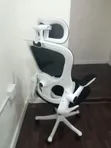 Modern Ergonomic Mesh Office Chair - Black & White - 4