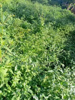 3,475sqm Residential Land for Sale in Asokoro, Abuja