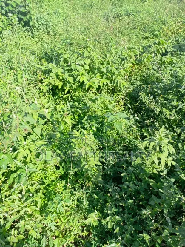 9,010sqm Filin Kasuwanci Don Siyarwa a Idu, Abuja - 1