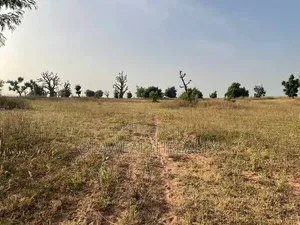 2 Hectares Mixed-Use Land for Sale in Jahi