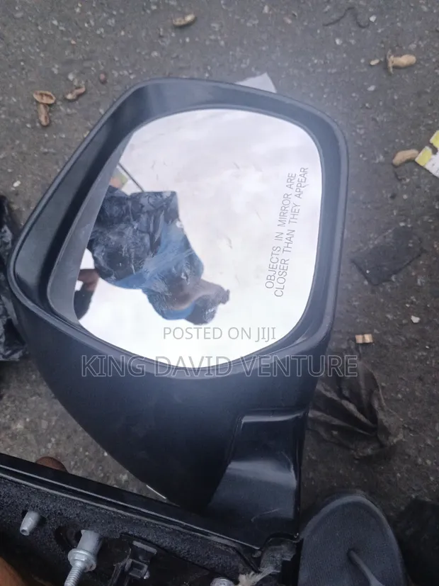 Lexus GX 460 Side Mirror 2019 - 1