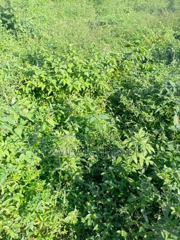 Filin Zama na 2,400sqm don Siyarwa a Utako, Abuja - 1